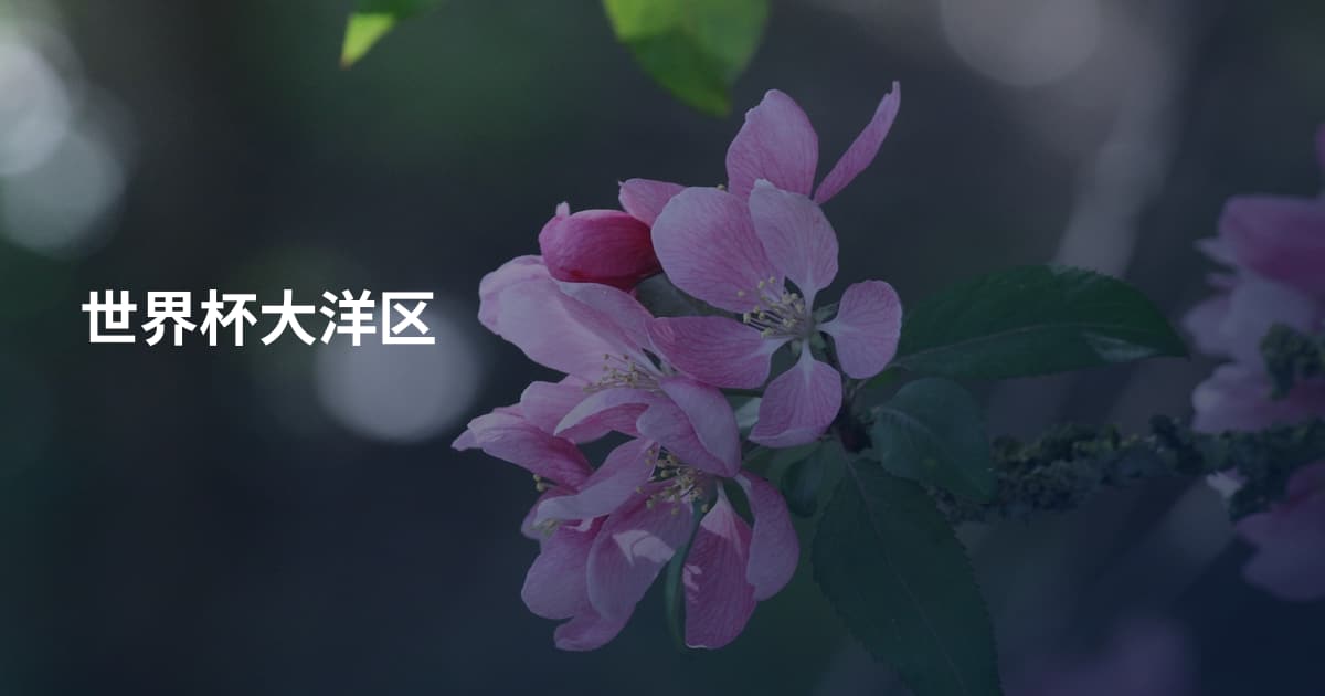 世界杯大洋区