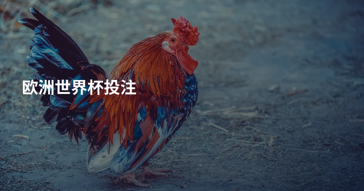 欧洲世界杯投注