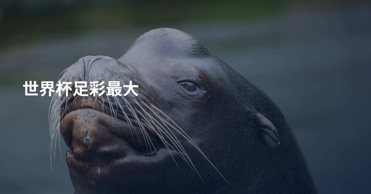 世界杯足彩最大