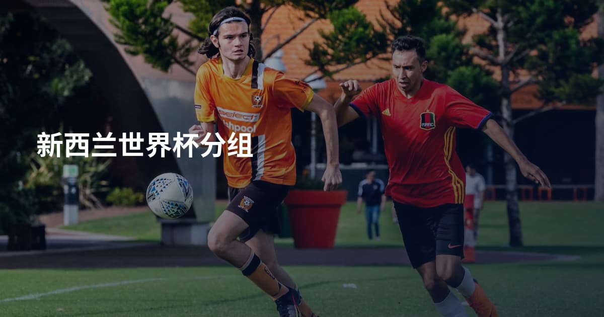 新西兰世界杯分组