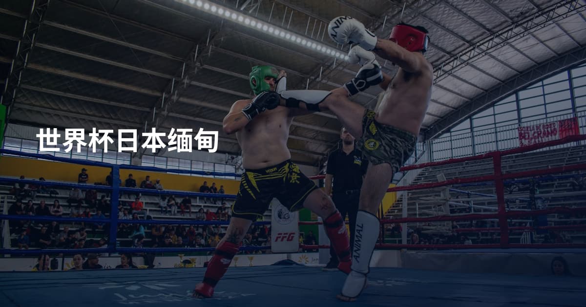 世界杯日本缅甸