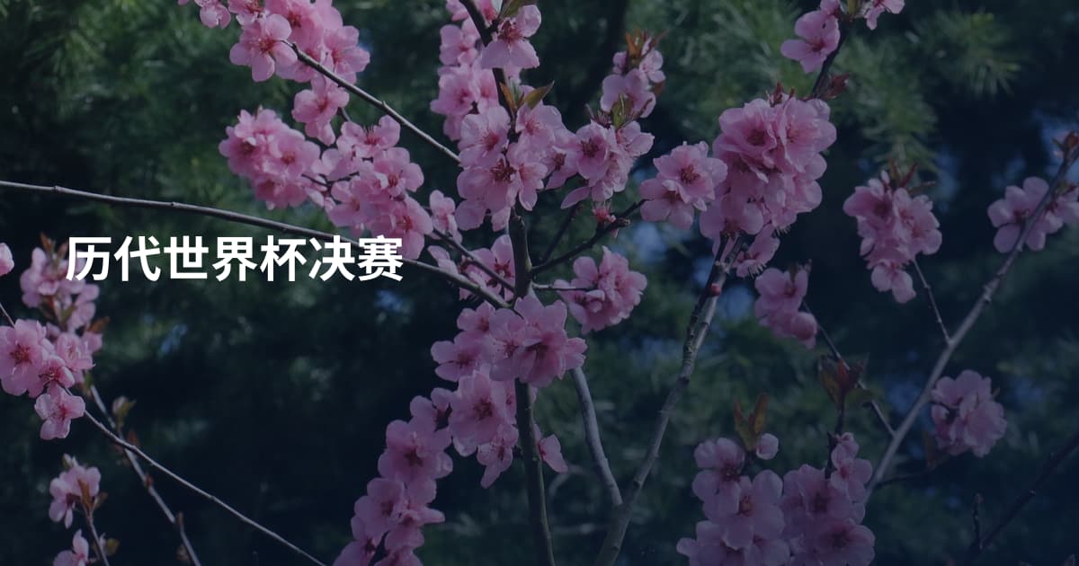 历代世界杯决赛