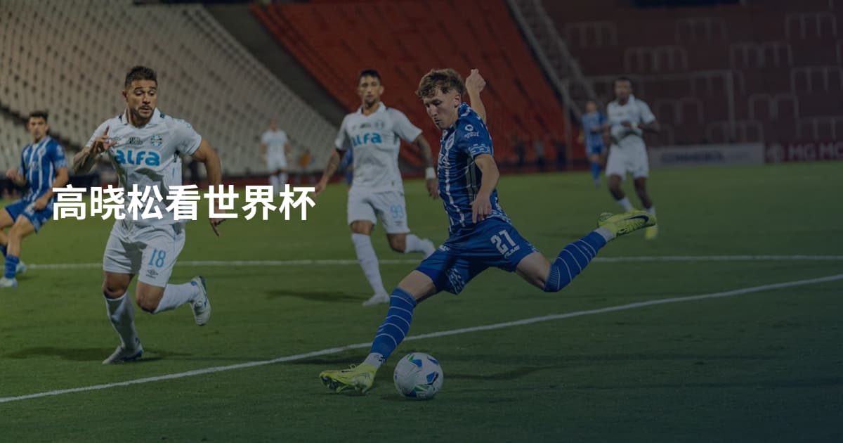 高晓松看世界杯
