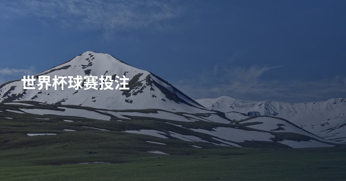 世界杯球赛投注