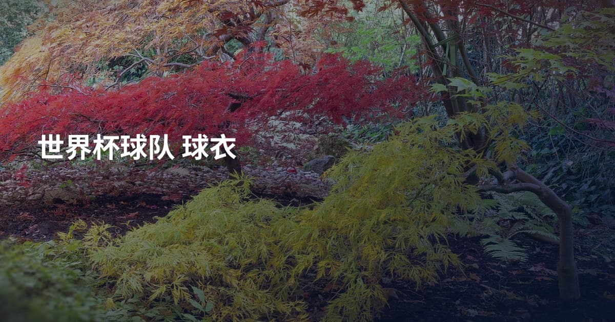 世界杯球队 球衣