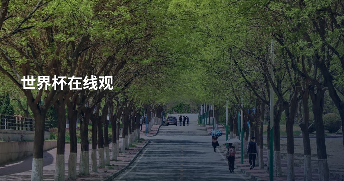 世界杯在线观