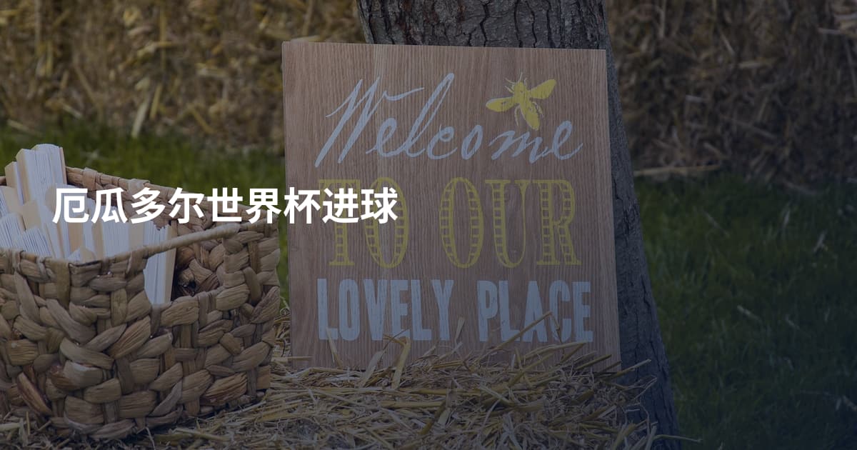 厄瓜多尔世界杯进球
