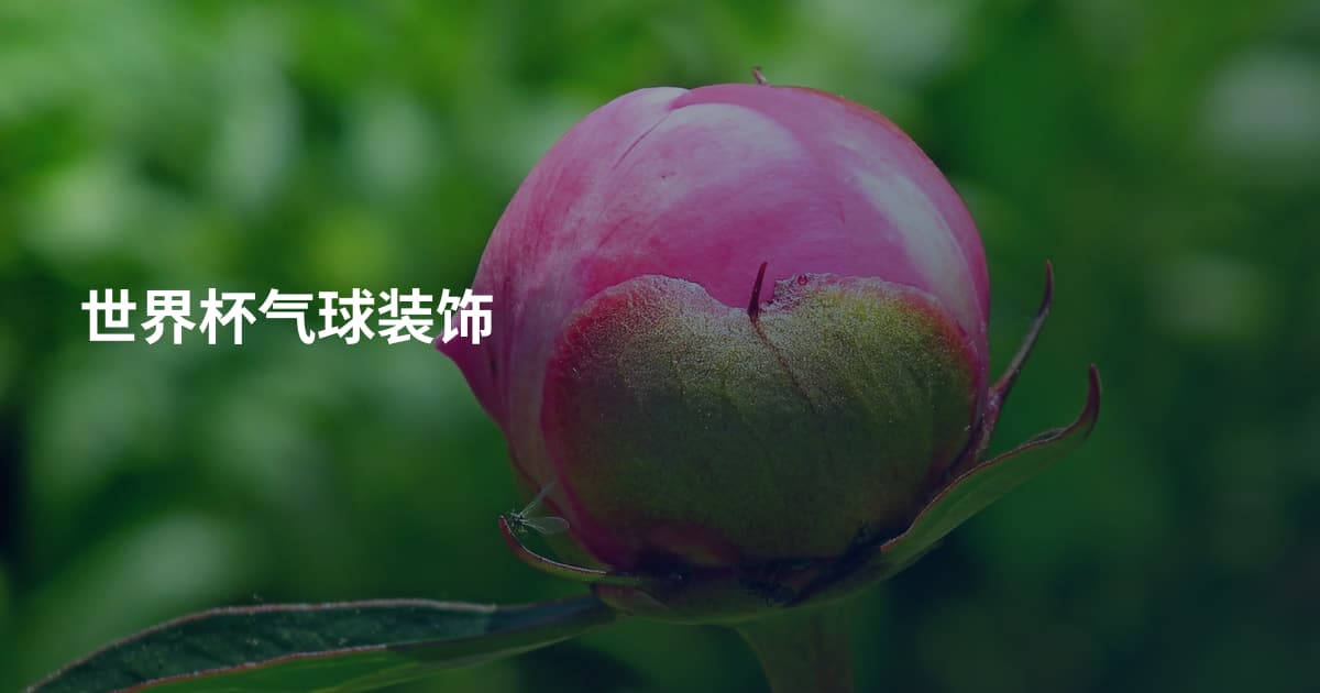 世界杯气球装饰