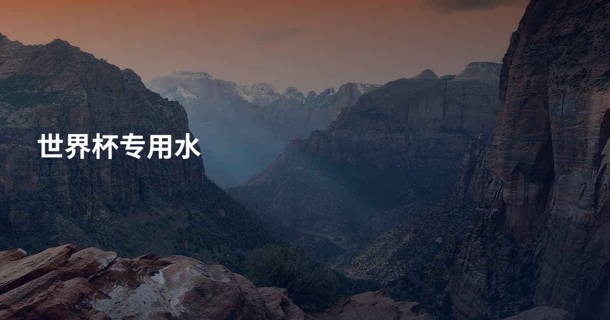 世界杯专用水