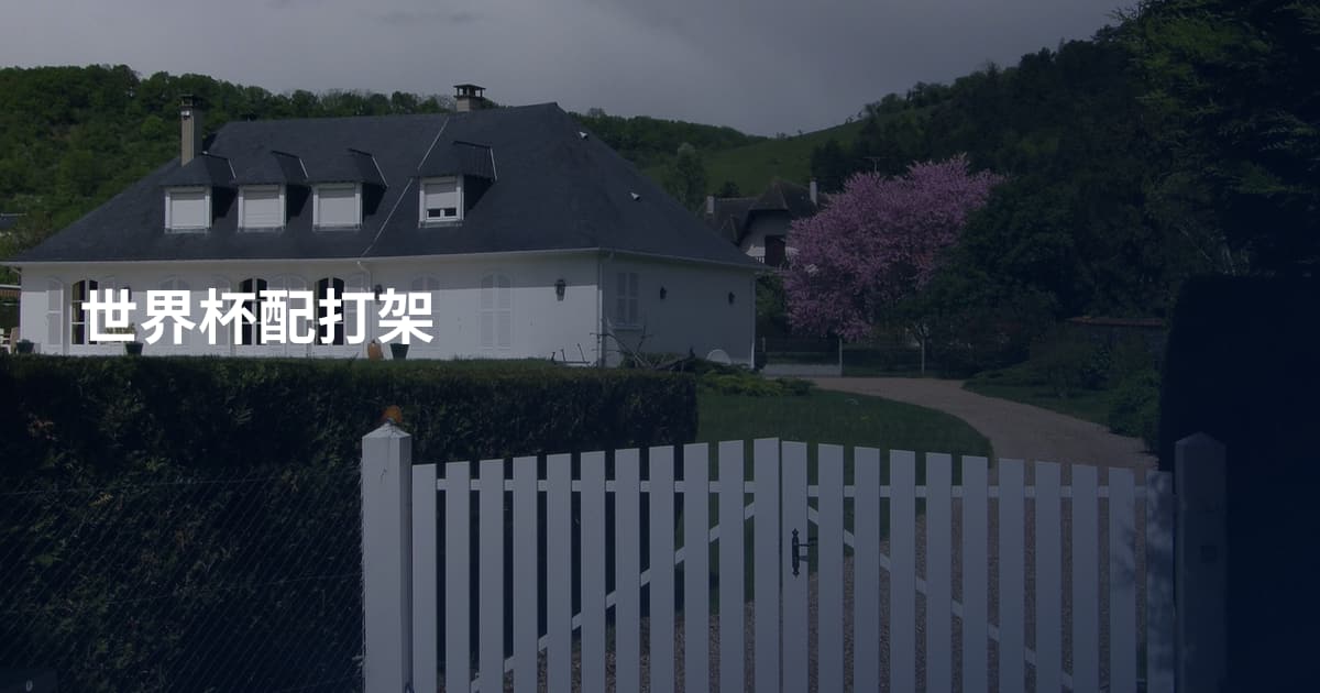 世界杯配打架