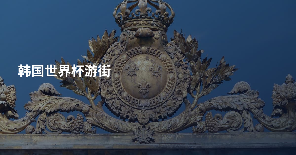 韩国世界杯游街