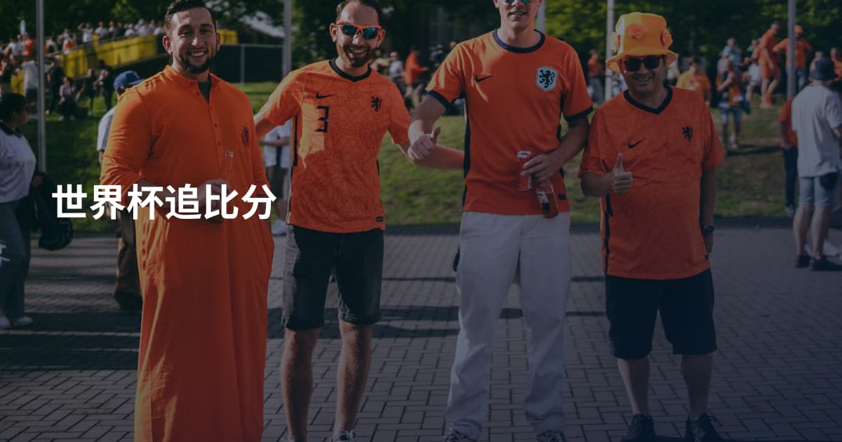 世界杯追比分