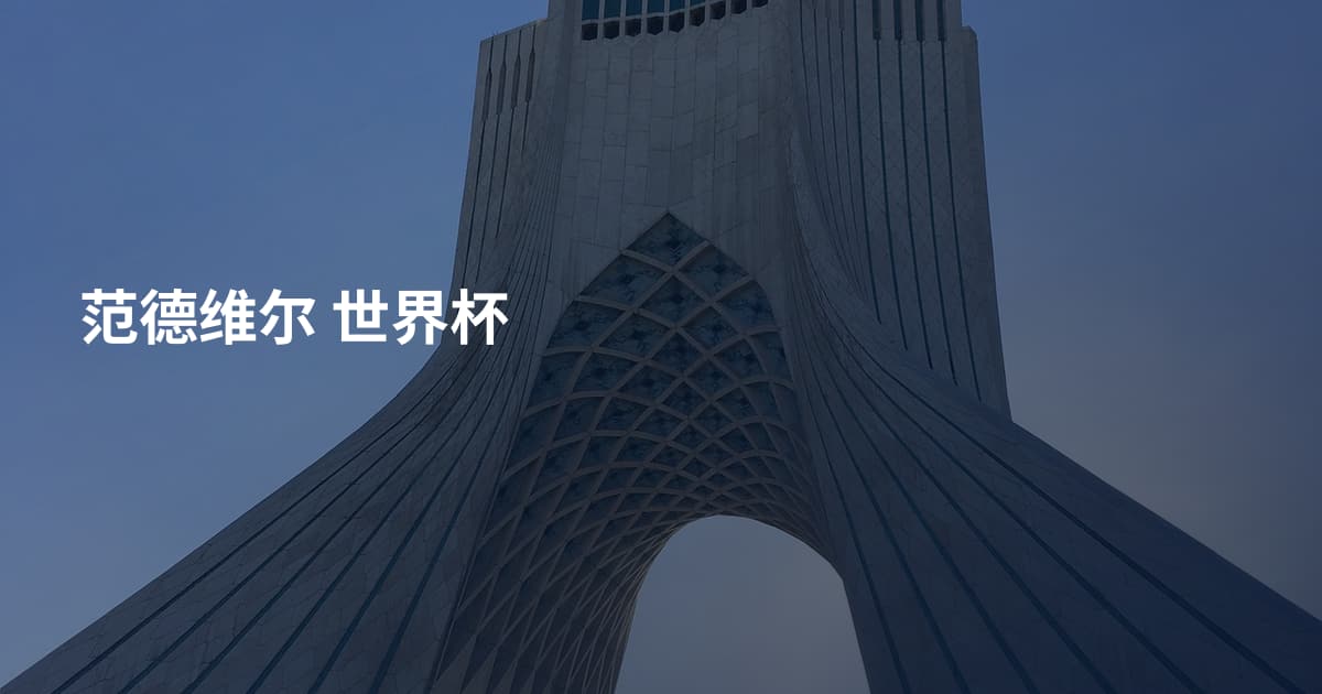 范德维尔 世界杯