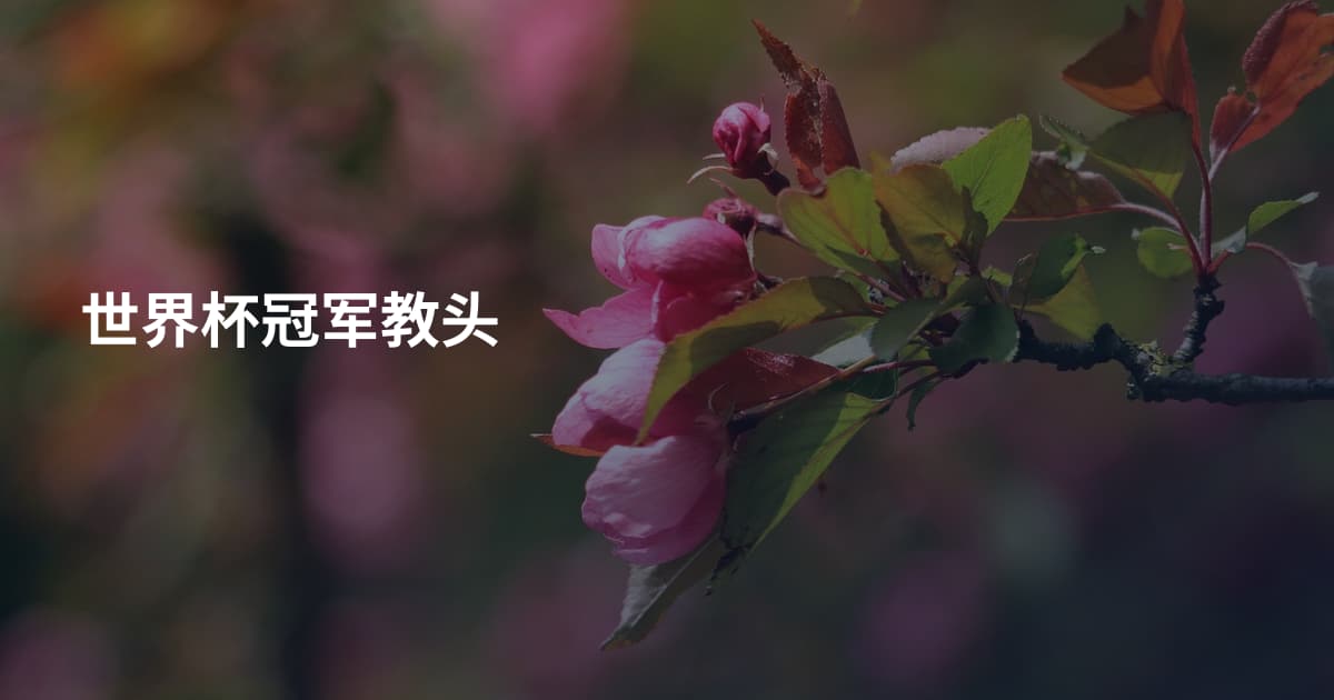 世界杯冠军教头