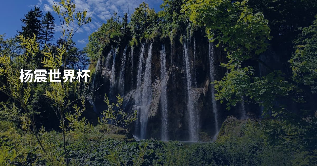 杨震世界杯