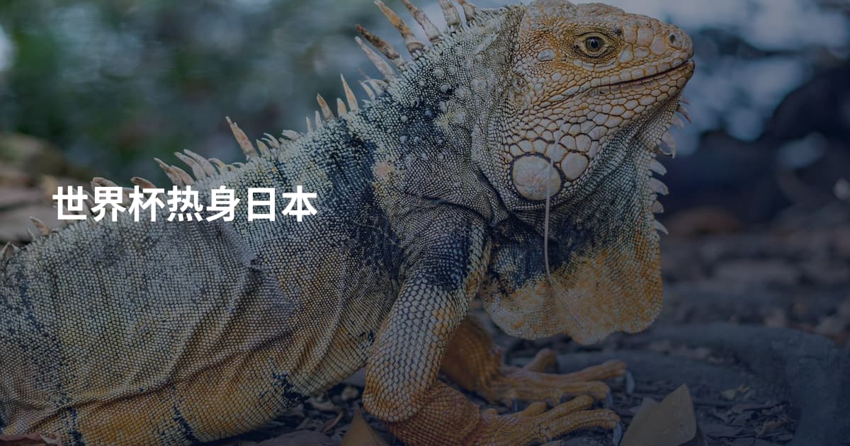 世界杯热身日本