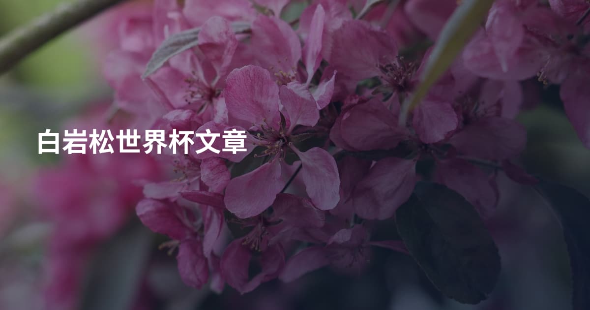 白岩松世界杯文章