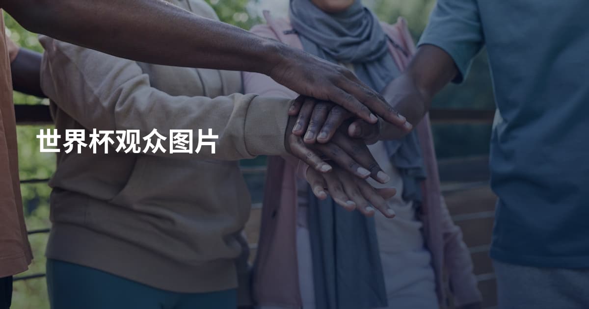 世界杯观众图片
