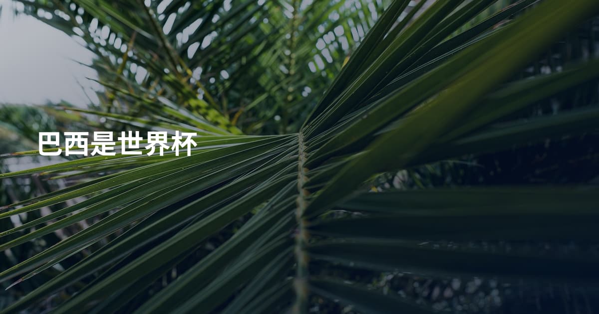 巴西是世界杯