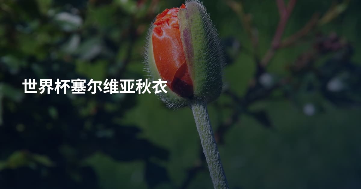 世界杯塞尔维亚秋衣