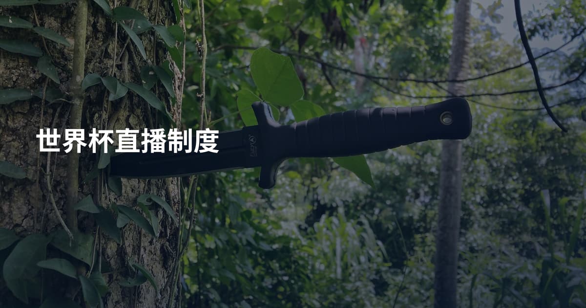 世界杯直播制度