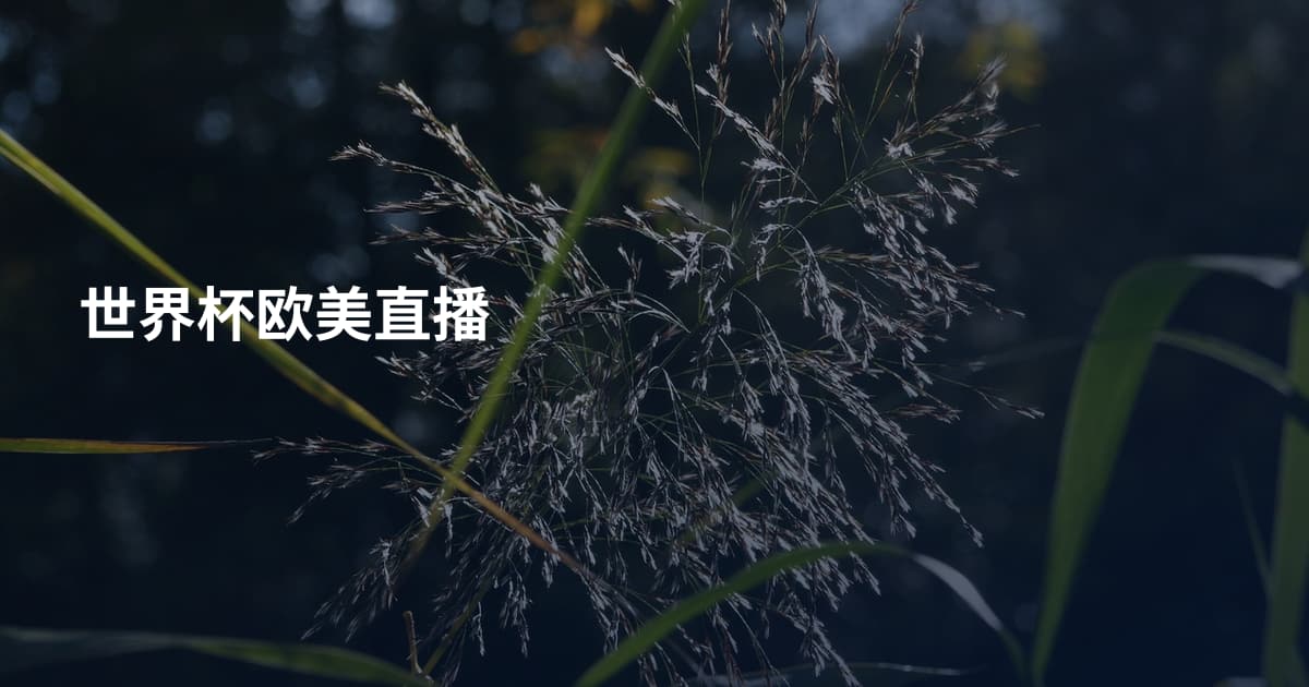 世界杯欧美直播
