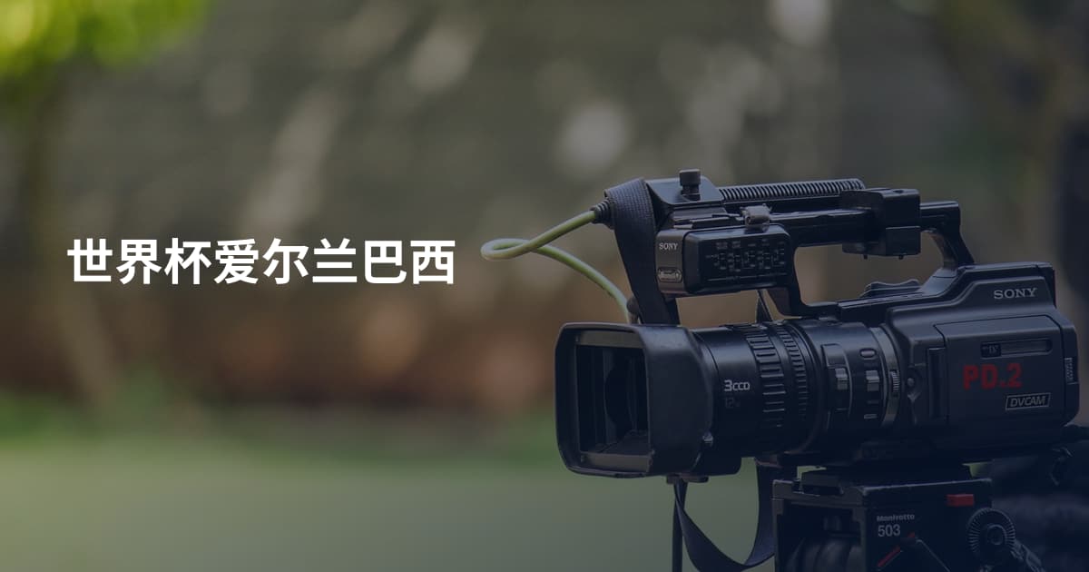 世界杯爱尔兰巴西
