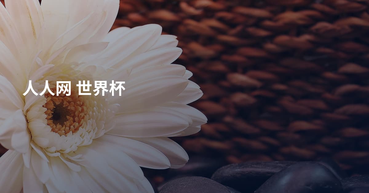 人人网 世界杯