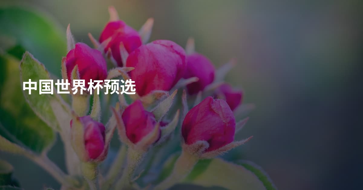 中国世界杯预选