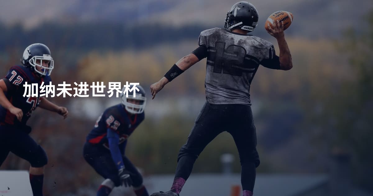 加纳未进世界杯