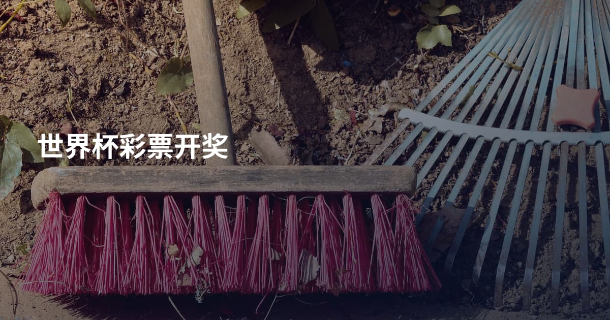 世界杯彩票开奖