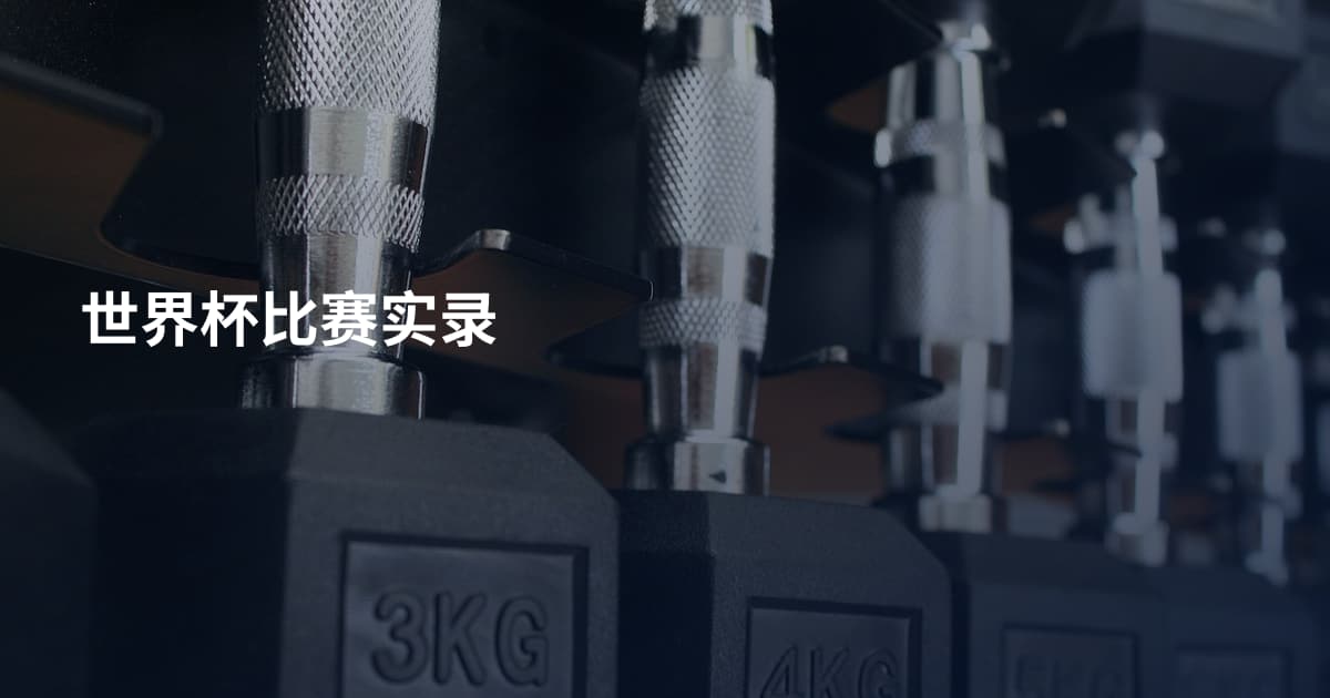 世界杯比赛实录