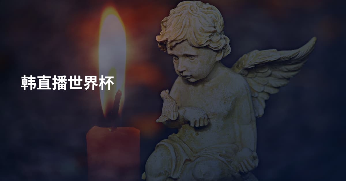 韩直播世界杯