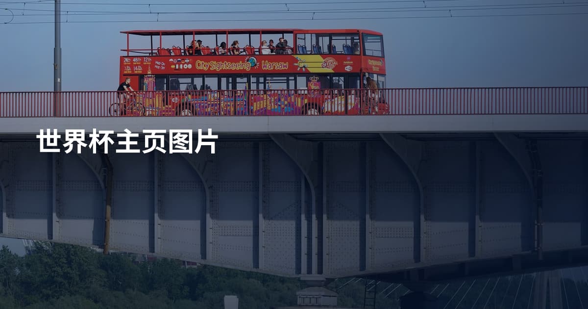 世界杯主页图片