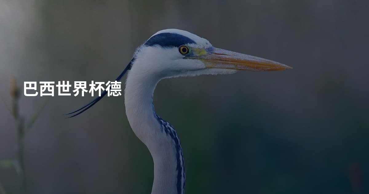 巴西世界杯德