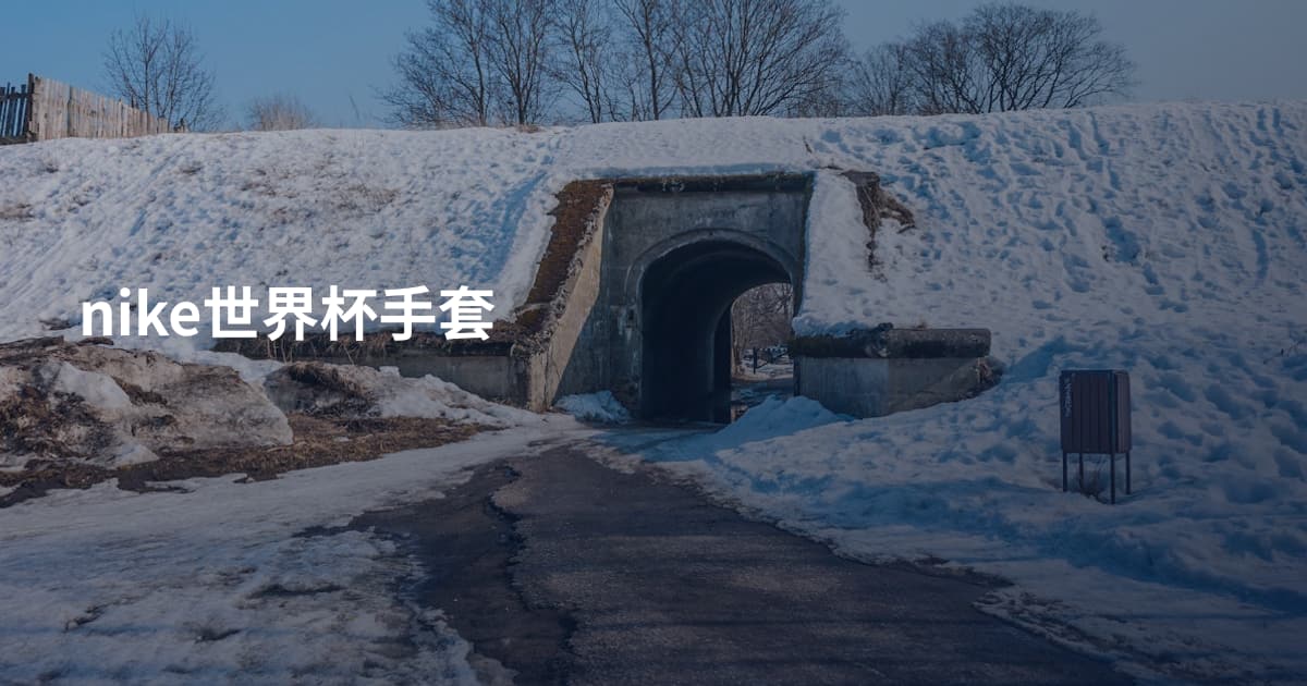 nike世界杯手套