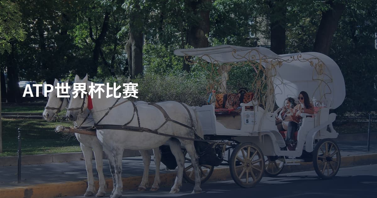 ATP世界杯比赛
