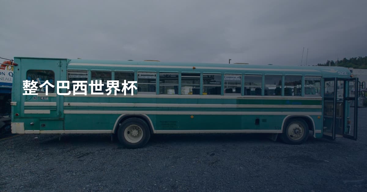 整个巴西世界杯