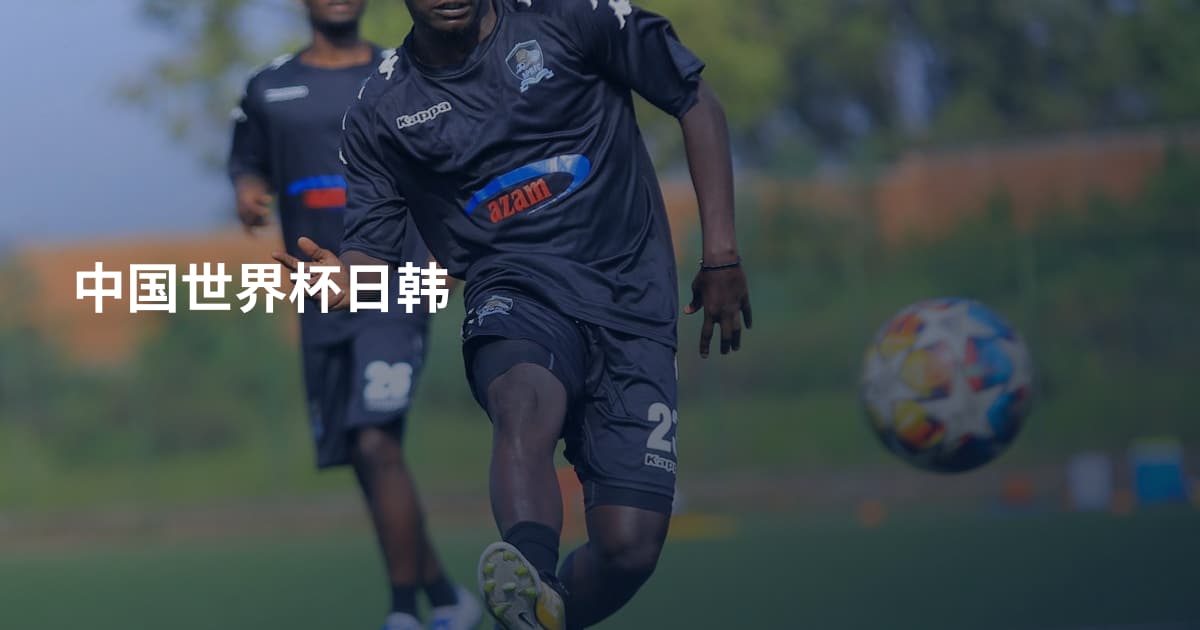 中国世界杯日韩