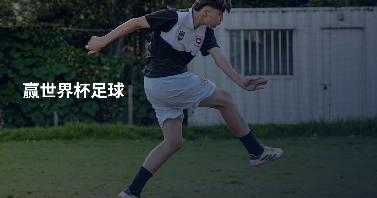 赢世界杯足球