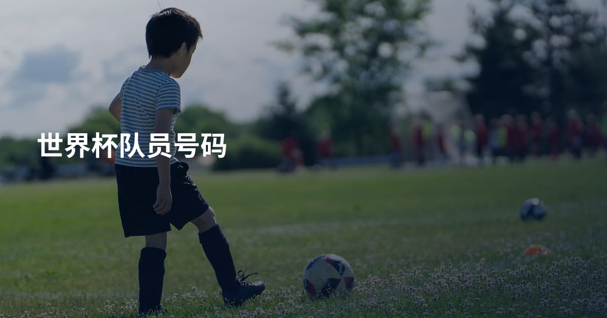 世界杯队员号码