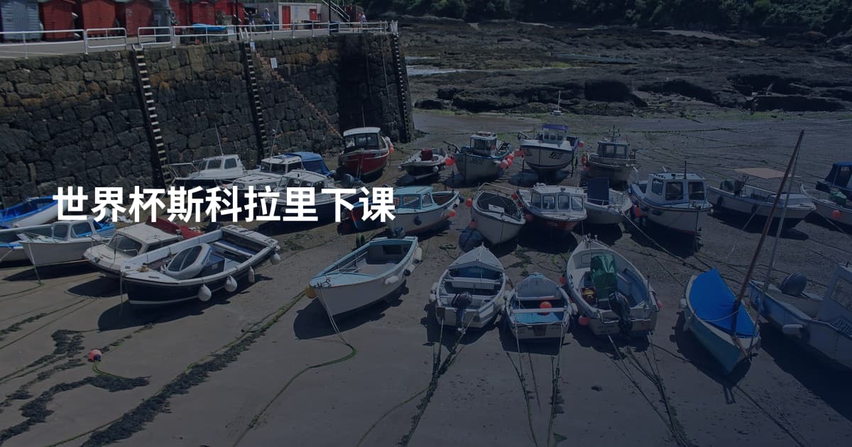 世界杯斯科拉里下课