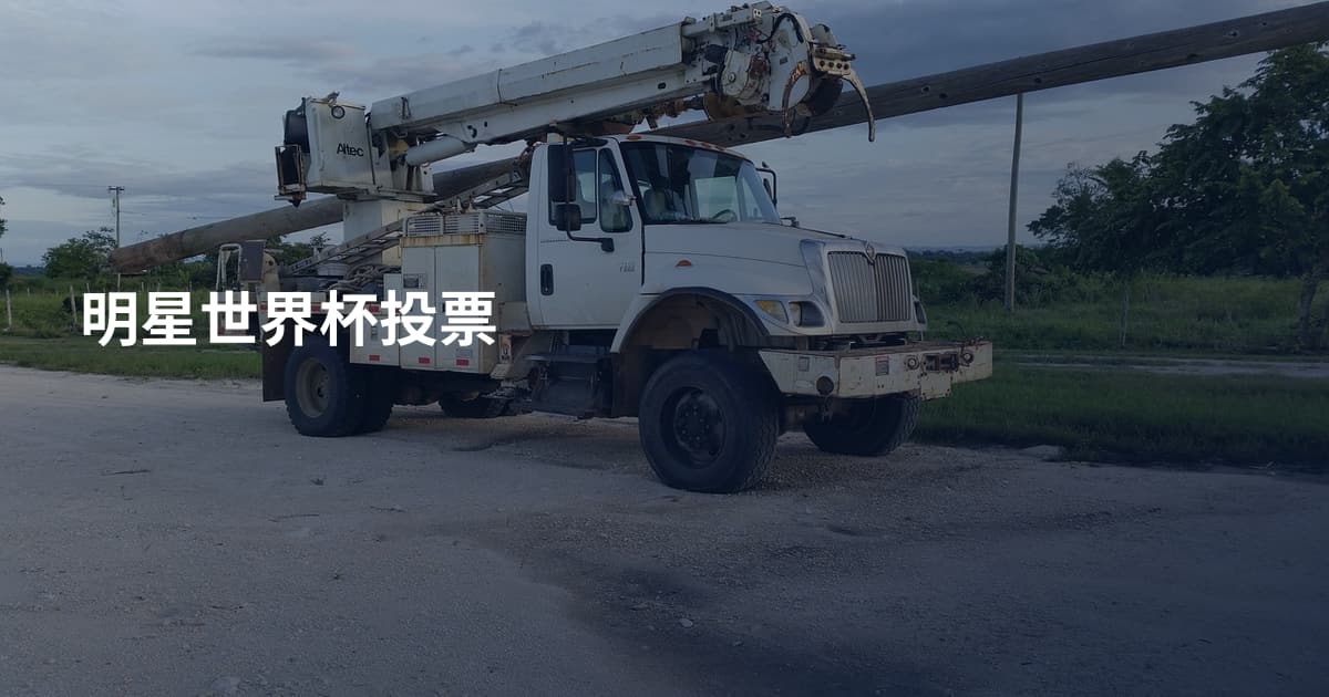 明星世界杯投票