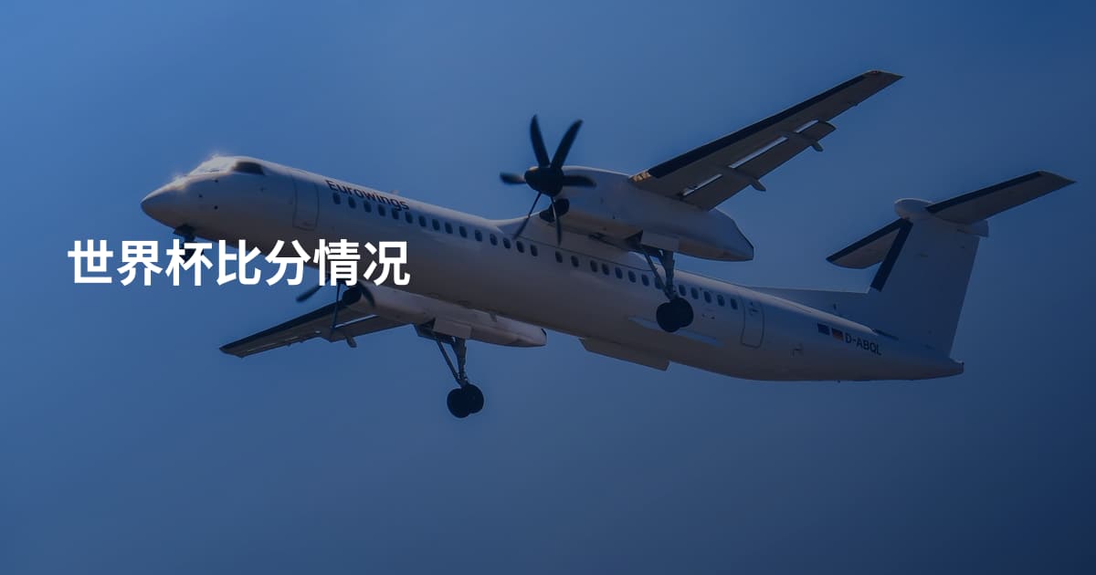 世界杯比分情况