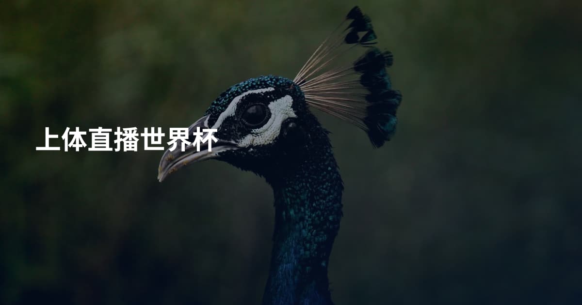 上体直播世界杯