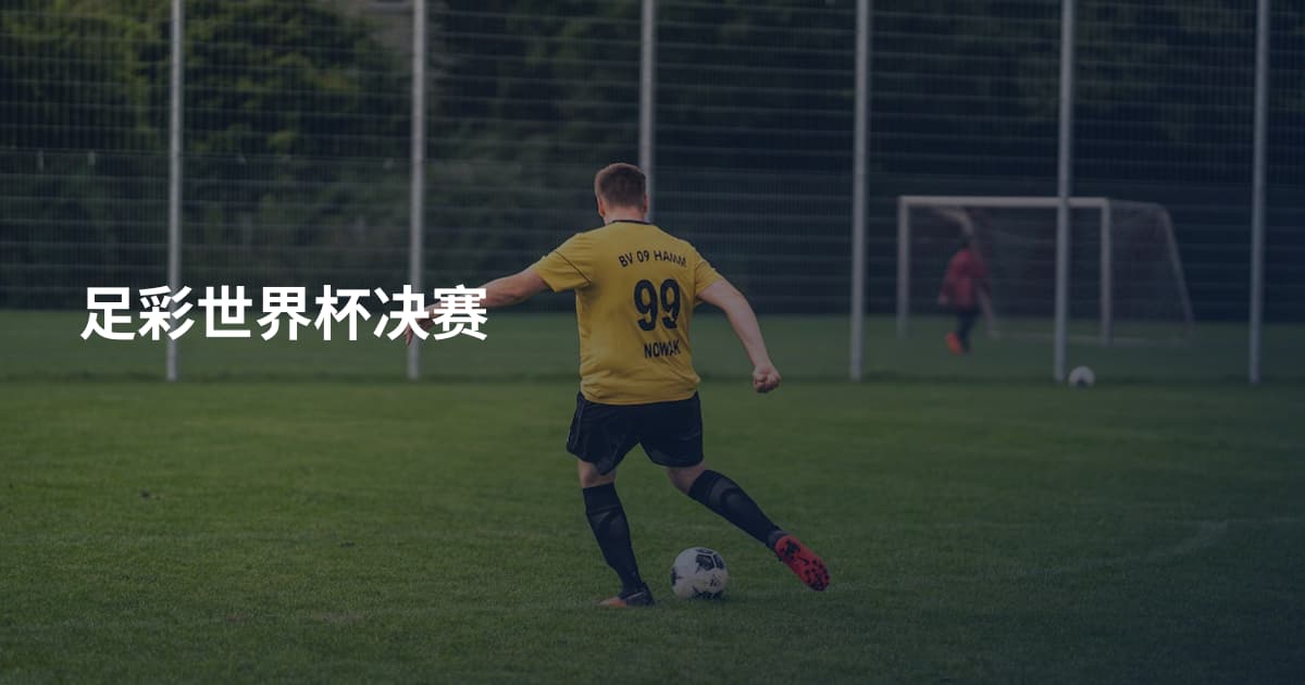 足彩世界杯决赛