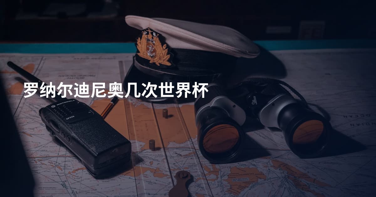 罗纳尔迪尼奥几次世界杯