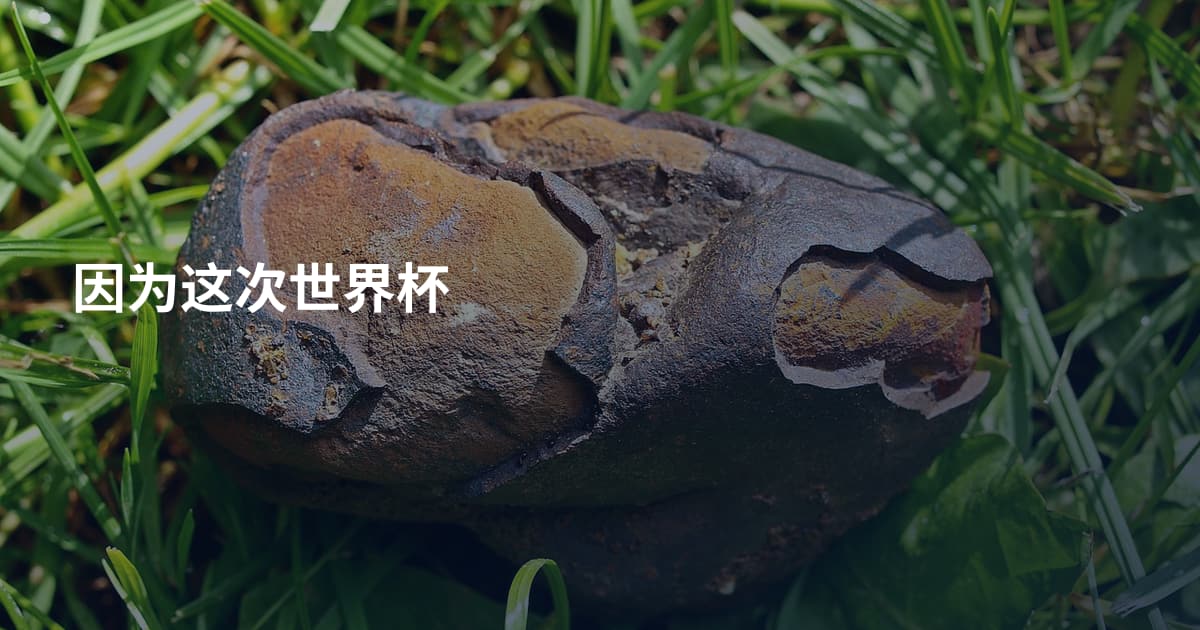 因为这次世界杯