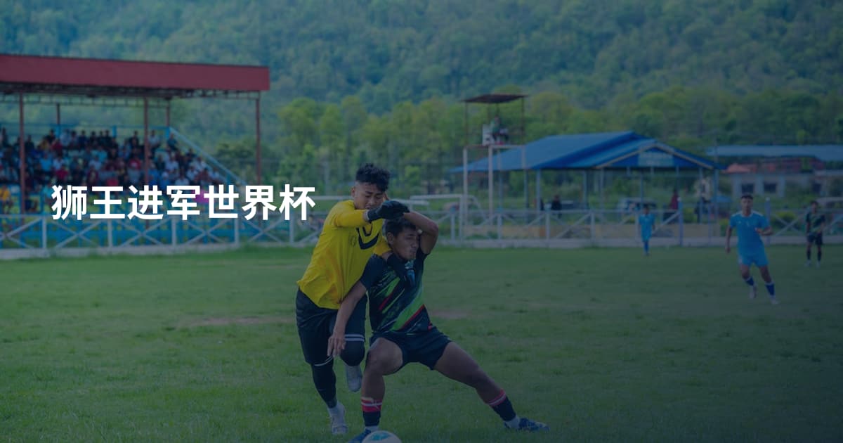 狮王进军世界杯