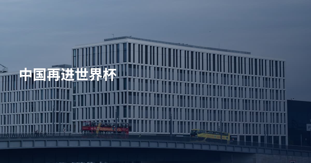 中国再进世界杯